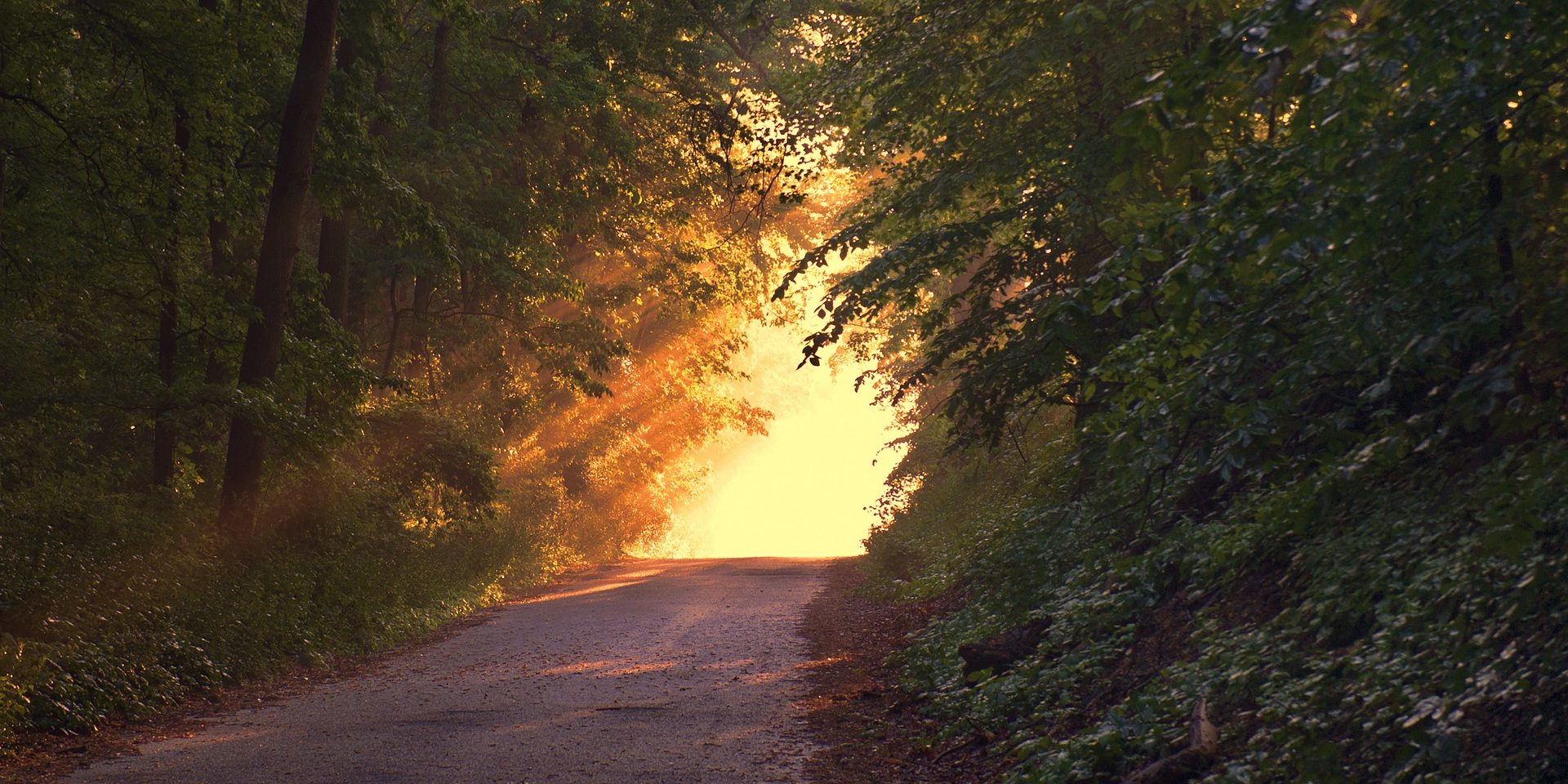 sunlight-166733_1920